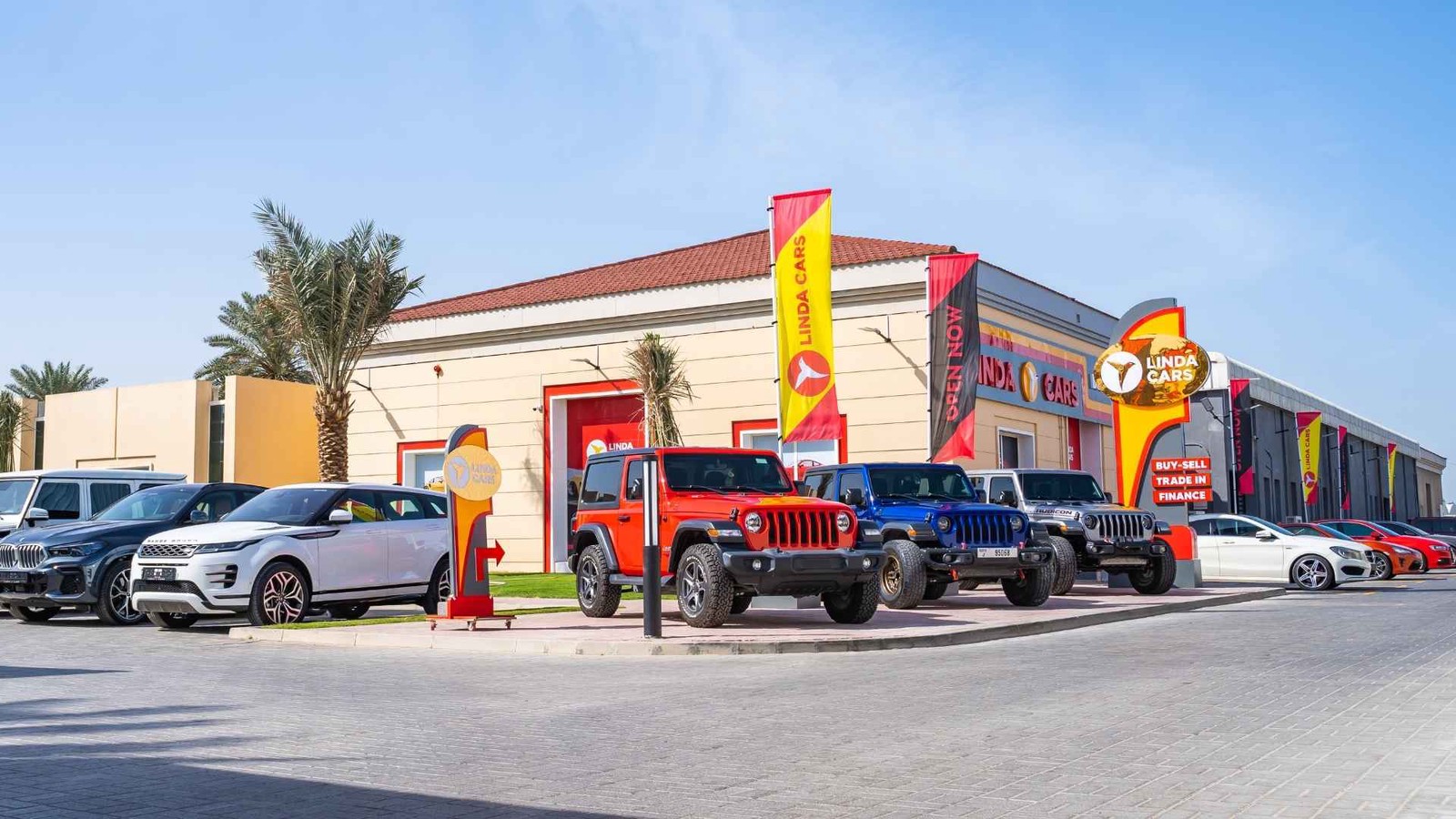 داخل ليندا كارز :نبذة عن قصتنا الأصلية و المذهلة