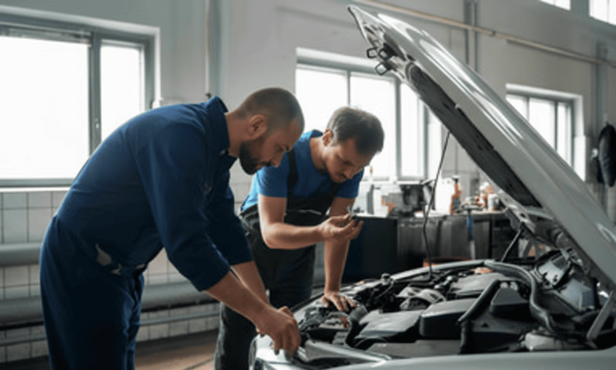 Professional Car Evaluation