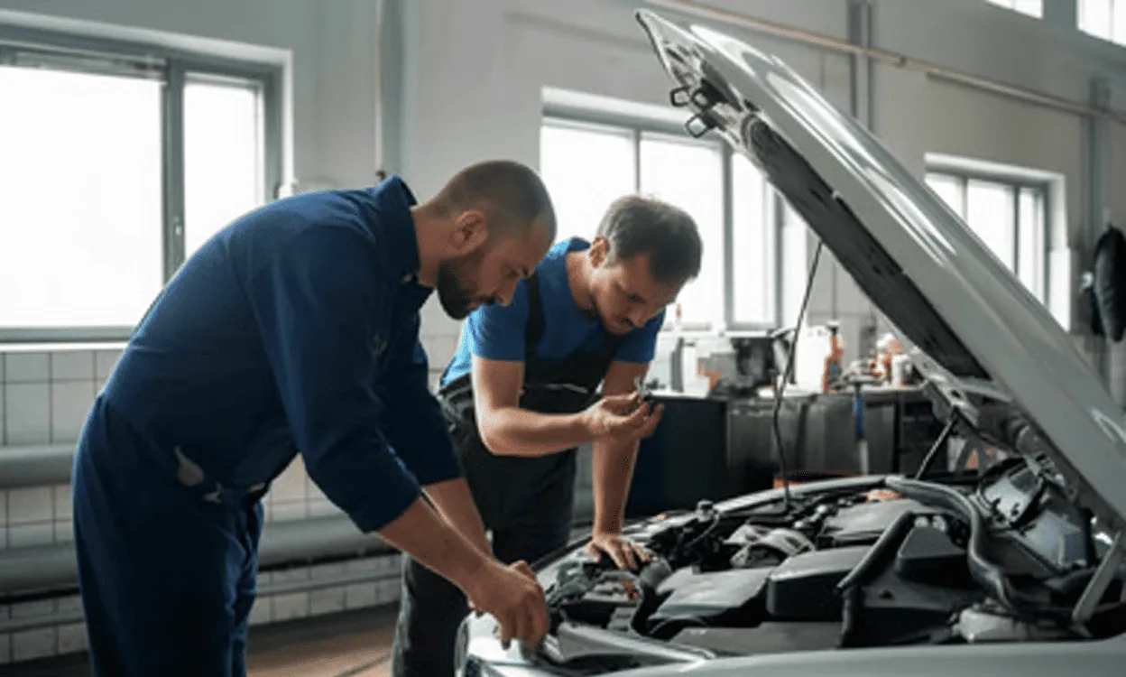 Professional Car Evaluation